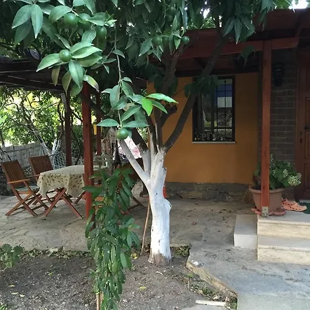 Tatil Evi Merve Apart *