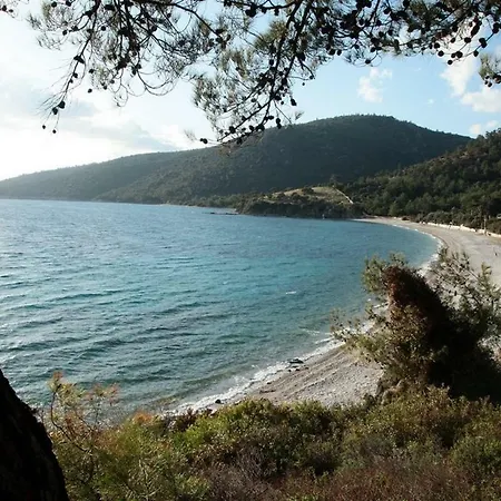 Merve Apart Tatil Evi Mazi